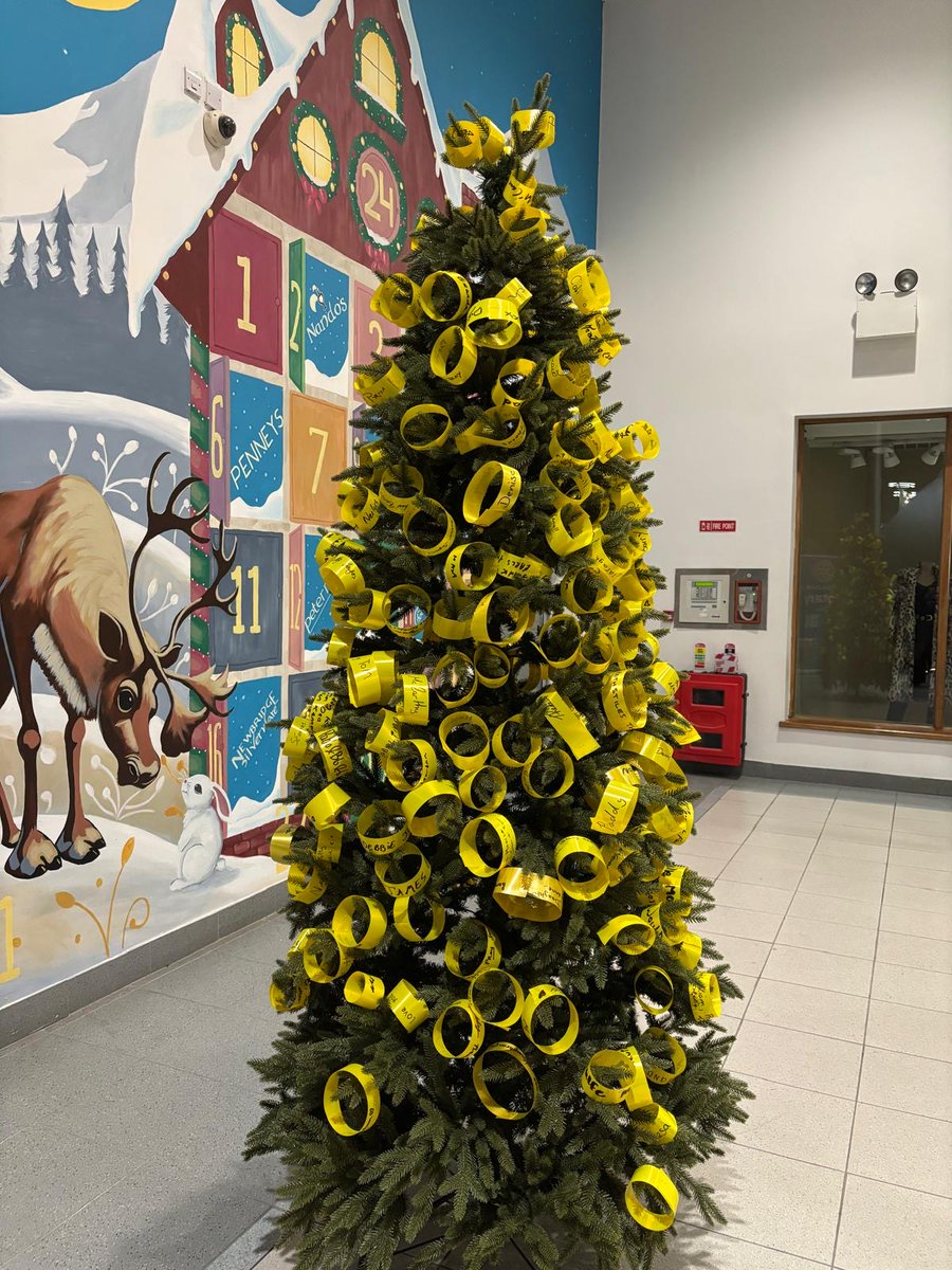 Limerick Central Rotary tweet media