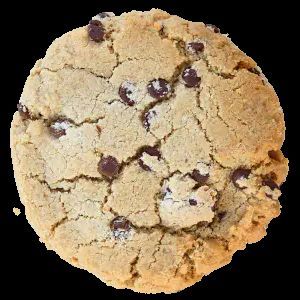 pnwcookieco's tweet photo. 🎉 Day 9 of our 12 Days of Christmas Sale! 🎄 Earn 9 points (instead of 2) for every dollar you spend at PNW Cookies—today only! 🍪💖 Stock up and rack up those rewards! #PNWCookies #HolidaySale

https://t.co/ZzoELqdvTO https://t.co/mENoP9FkAN