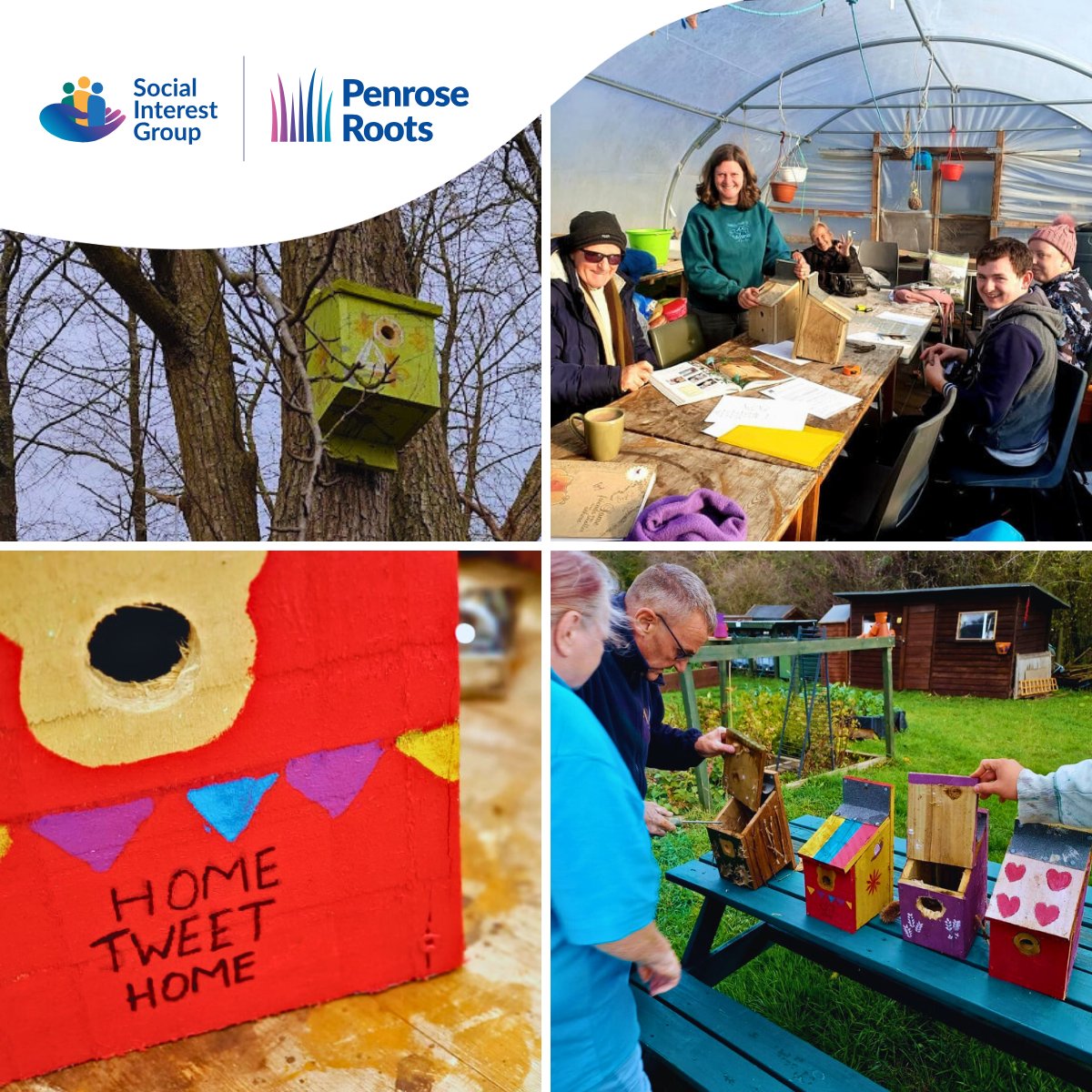 "Home Tweet Home!" 🐦 

Our Roots members are keeping local birds cosy this winter, crafting these beautiful birdboxes from recycled wood in our workshop. 🏡✨ 

Please help us keep providing warm spaces where people and nature thrive together: justgiving.com/campaign/roots…