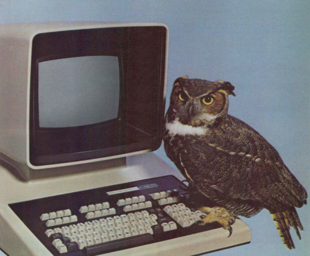 plum (@fizzfug) on Twitter photo 