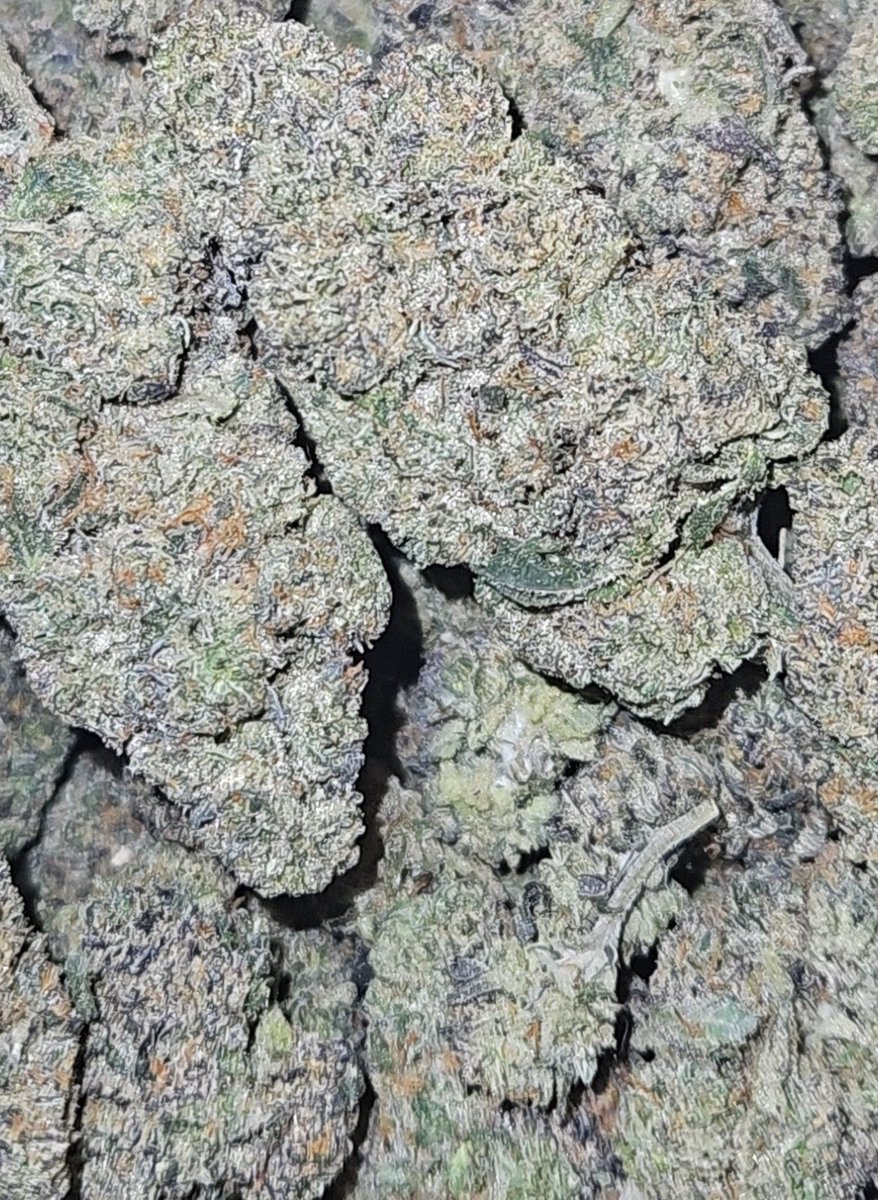 Something mega for your Sunday😮‍💨🍃 #dfw #holiday #dallas #ftworth #downtown Deal or no Deal🔥