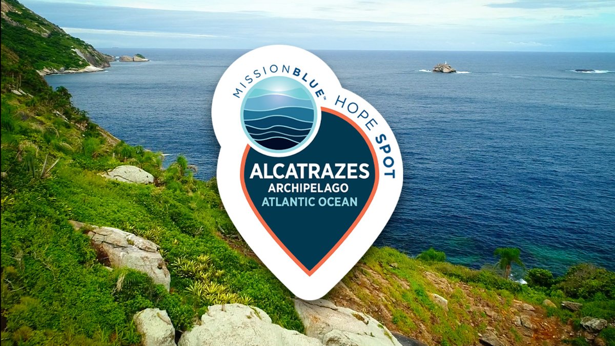 Pop_Ciencia's tweet photo. Um pouco da história da criação do novo Hope Spot no Arquipélago de Alcatrazes e sua relevância - https://t.co/EK3vo7eh1k https://t.co/ziGMOHOxze