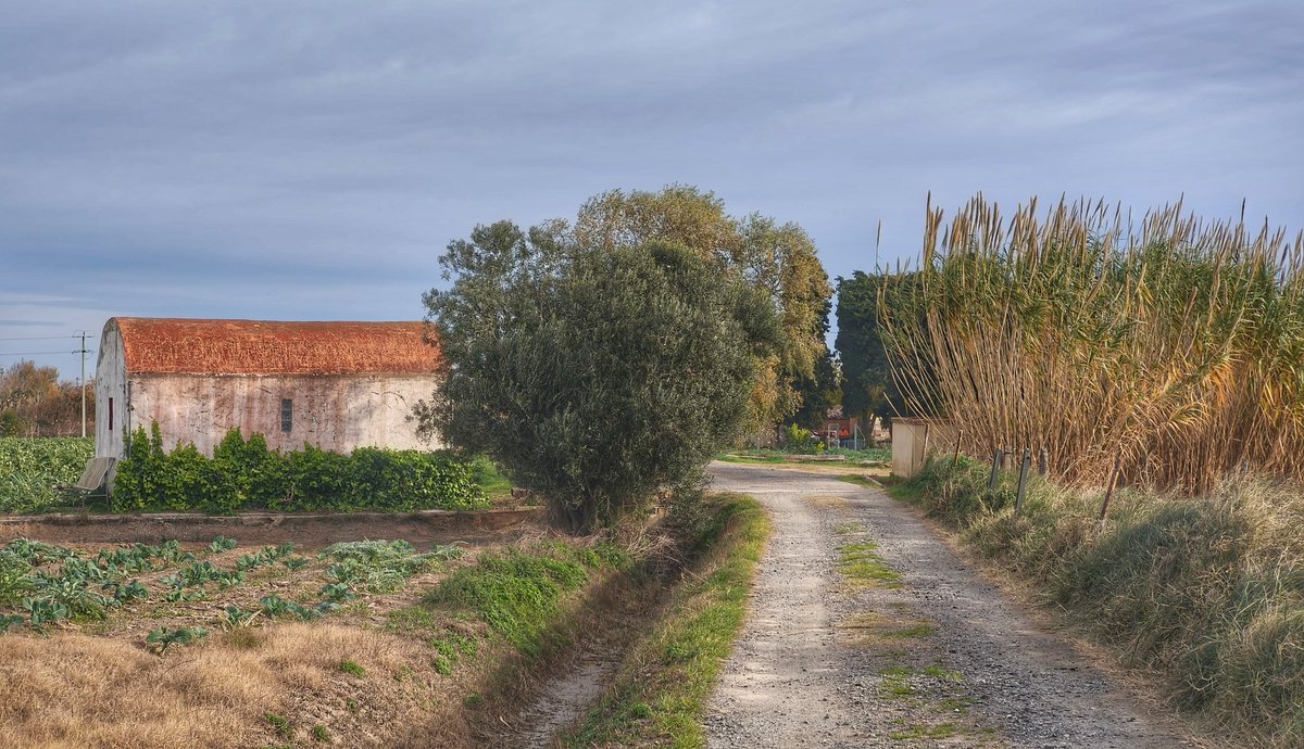 "Però tens el record d'altres dies,
que els teus ulls eren nets, transparents,
i tot ple de misteris dormies
amb el somni enganxat a les dents."

Poema de Nadal
Josep M. de Sagarra

Gràcies <a href="/Nau_Puig/">Arnau Puig</a>  i #calbitxot 
<a href="/Albapuigcasas/">Alba Puig</a> 🥀