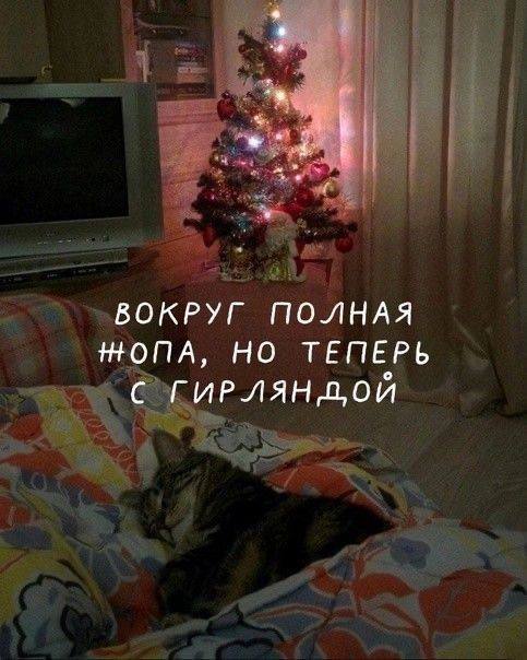 Tazique Ogurtsoff tweet media