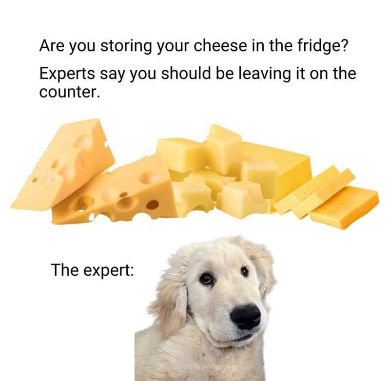 Heckin Good Dogs (@heckingooddogs) on Twitter photo 