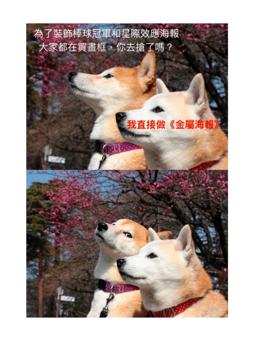 您放心，沒搶到畫框也沒關係的喔。