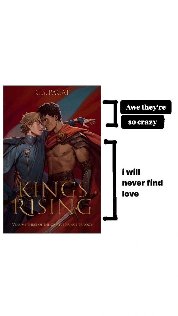 Typical experience reading King's Rising #CaptivePrince