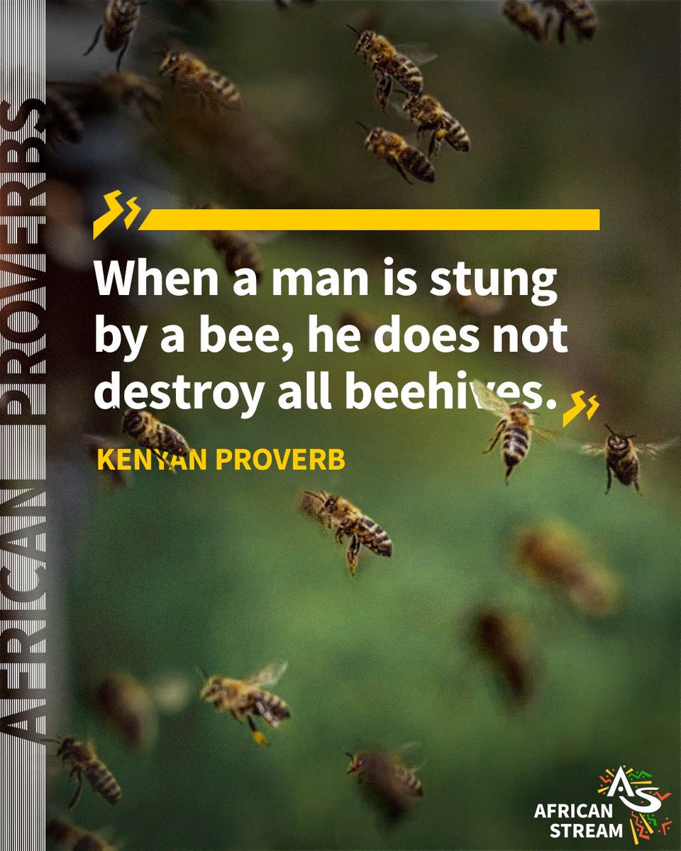 african_stream's tweet photo. Bee stings hurt, but imagine life without honey.  This week’s proverb reminds us that overreacting can be self-defeating. https://t.co/HVHFczqZ1z