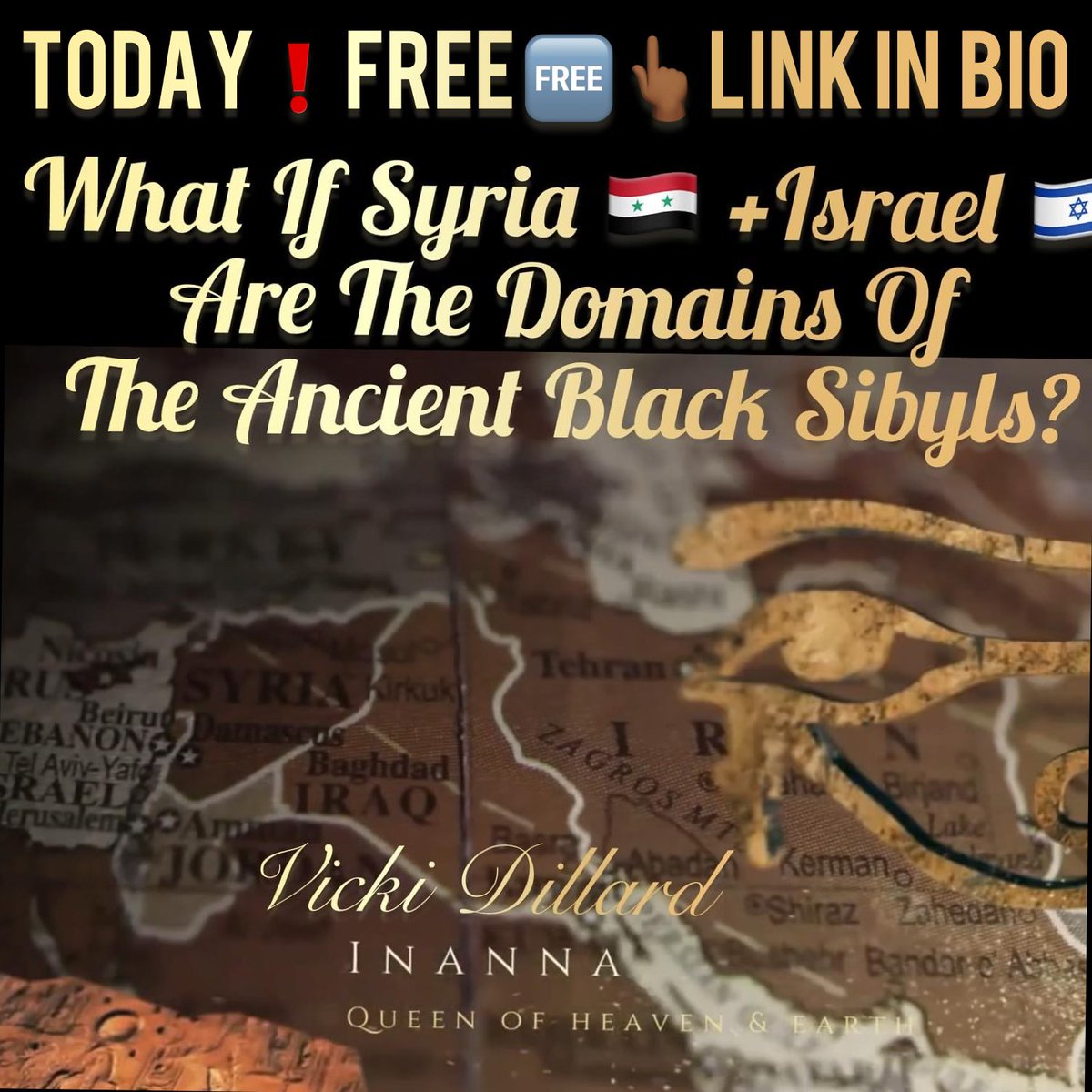 Vicki Dillard tweet media