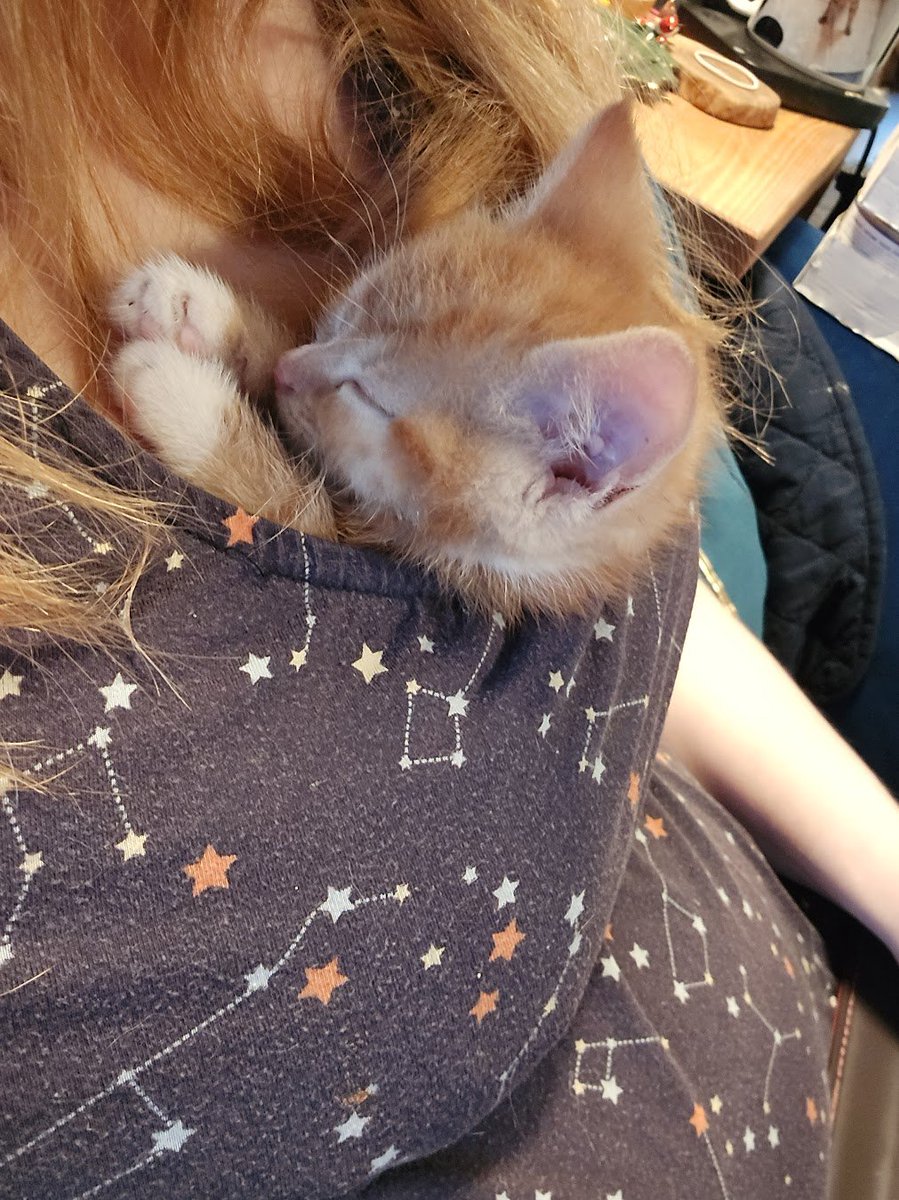 holly's tweet photo. sorry but I will not be doing anything ever again https://t.co/D7RbLXY2mu