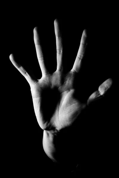 VLandetta's tweet photo. #Recuperemos a los #NiñosDeLasMalvinas. No más https://t.co/X9oeMzBZxy