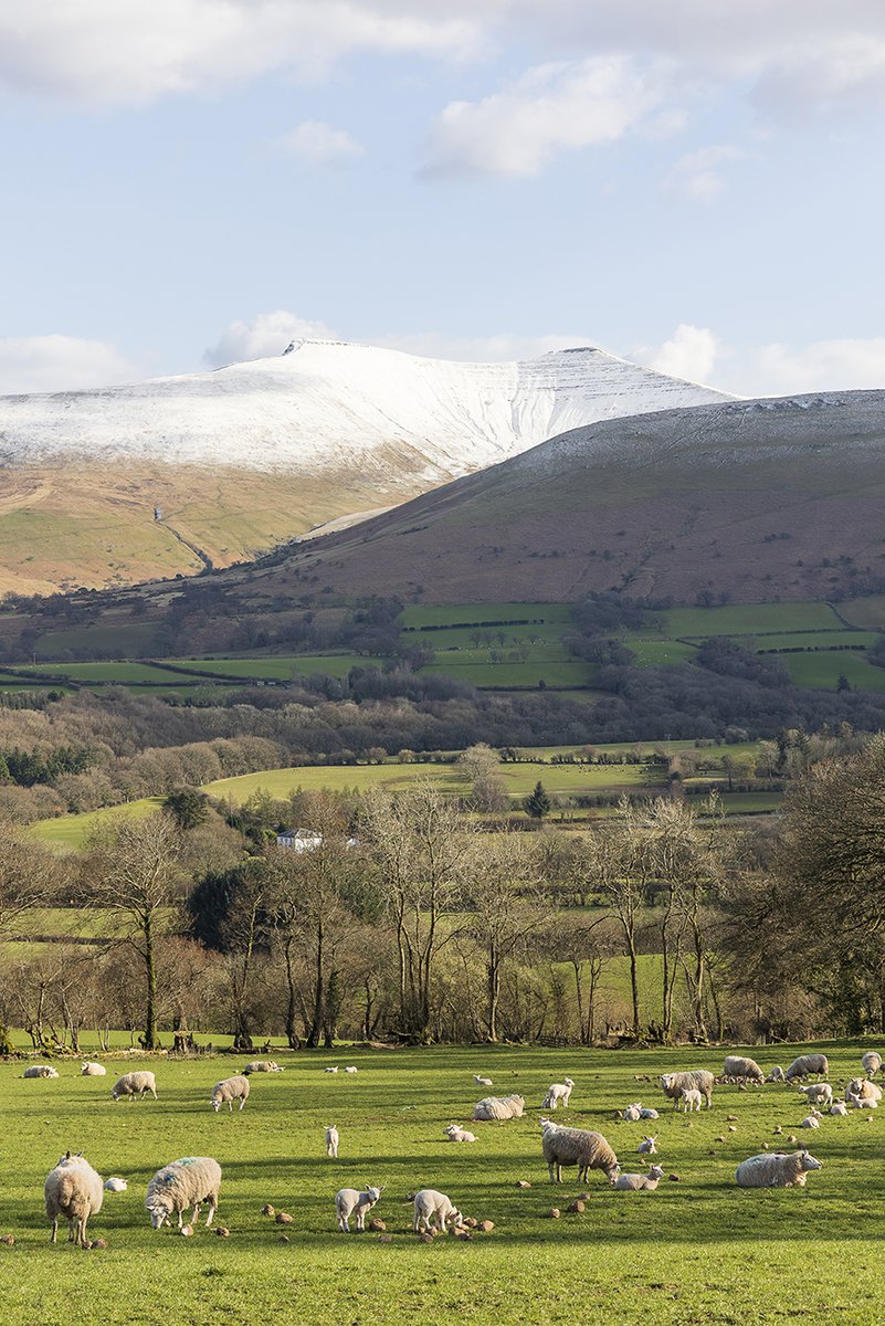ArgoedOutdoor's tweet image. Argoed Lwyd will be closed from 23 December to 6 January. We wish you a merry Christmas and can't wait to welcome you back in the New Year!