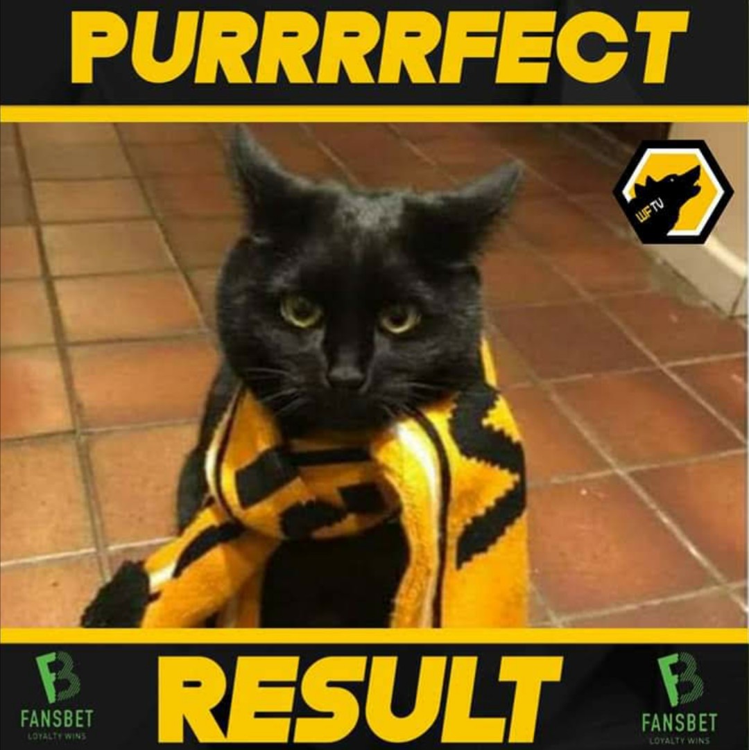 BigOWolves's tweet image. 