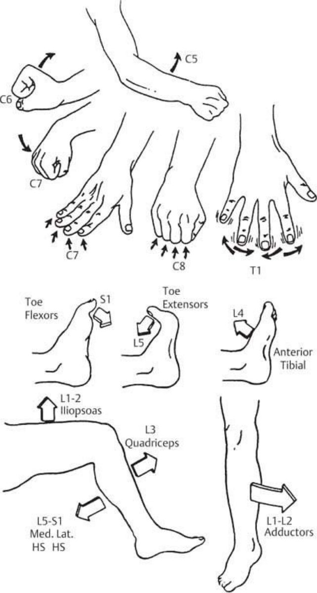 Body movin', body movin'
Motor nerves control 
is  so soothing