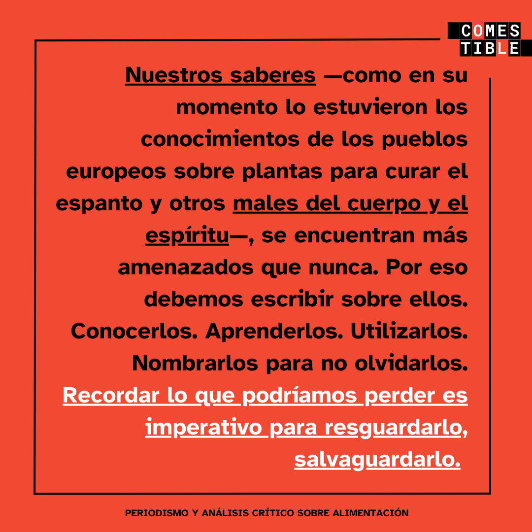 《En México hemos olvidado los saberes tradicionales de manera sistemática. En especial las últimas décadas. Lo olvidamos a punta de pistola, al principio, y por decisión propia, más recientemente》. <a href="/ana_islas/">Ana Luisa Islas</a> <a href="/namnamBCN/">Ñam Ñam Barcelona</a> en <a href="/InfoComestible/">Periodismo Comestible</a> 
comestible.info/recetas-contra…
