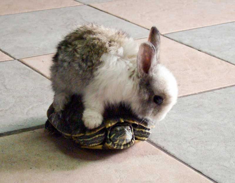 2_6_5953's tweet image. #sameenergy