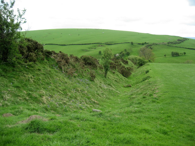 Media image