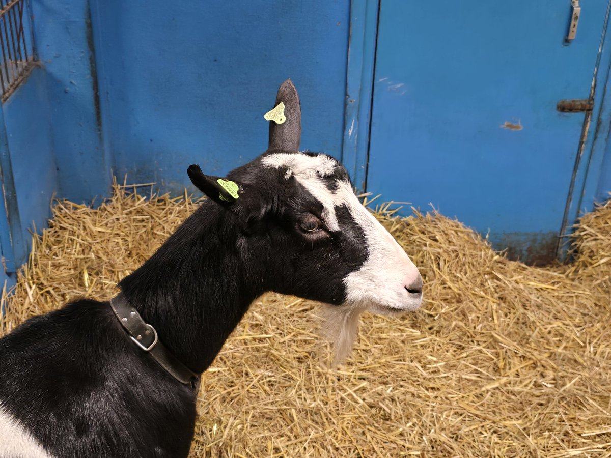 Bert van 't Oever tweet media