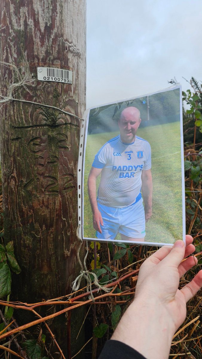 McShane Fantasy Football tweet media