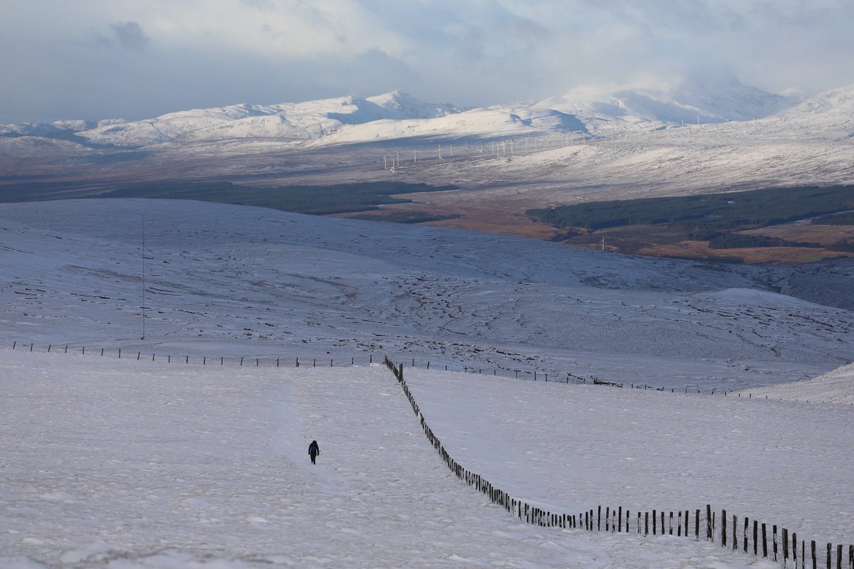 Iain Cameron tweet media