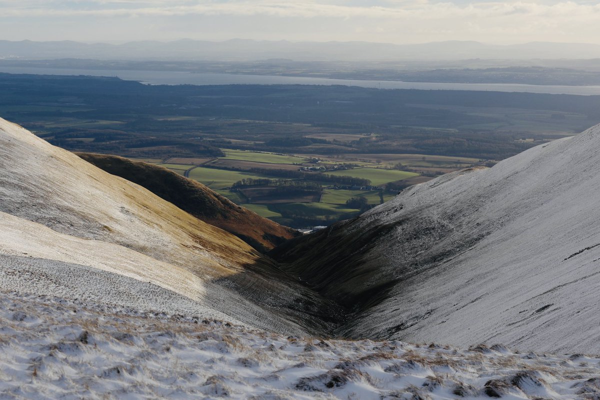 Iain Cameron tweet media