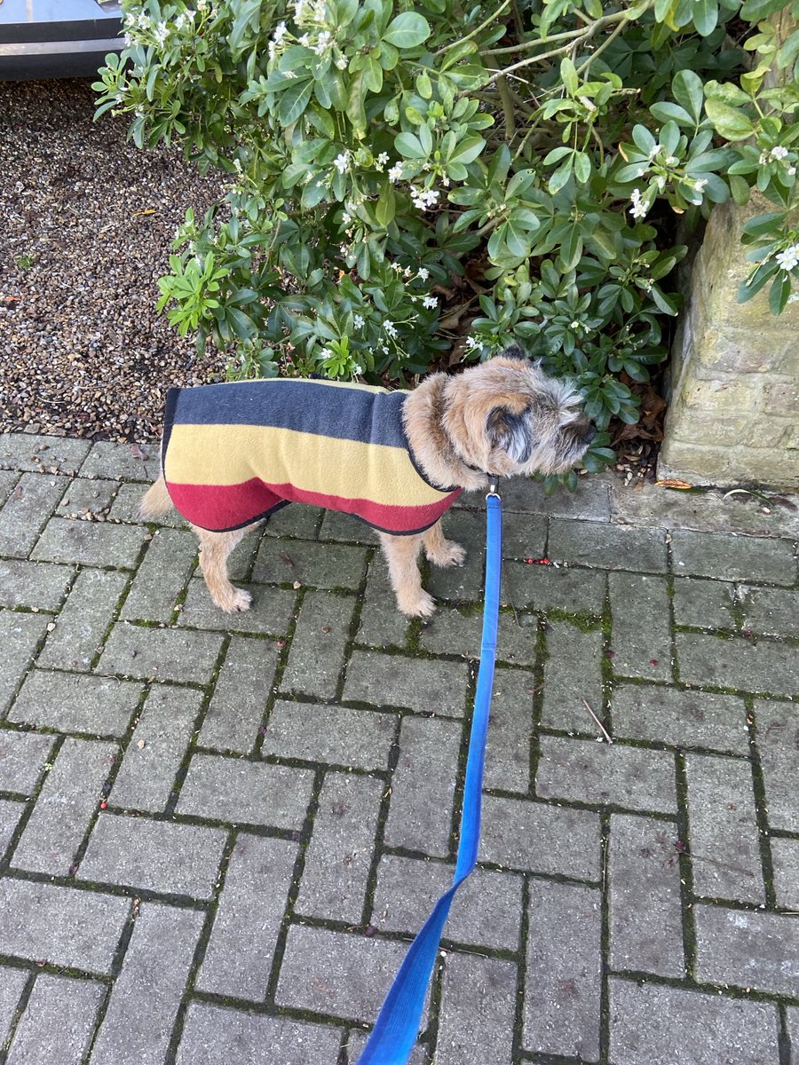 I am deciding whether to go on a walk or not.