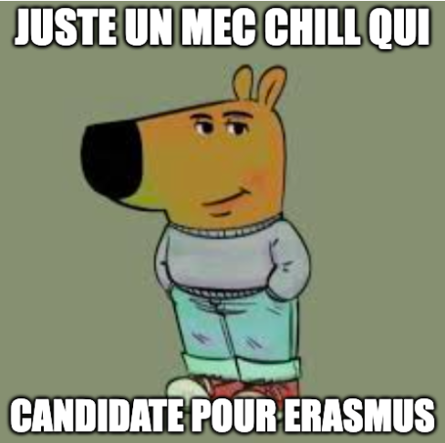 6ecom2024's tweet photo. 😉Vrai mec chill contacte le service des relations internationales pour partir en #Erasmus ✈️

➡️ ils t'accompagnent dans les démarches 
➡️ ils te guident vers les établissements partenaires 

✨Les mecs chill vont aussi aux #ErasmusDays du 14 au 19 octobre #universiteorleans https://t.co/W6swN9hLdb