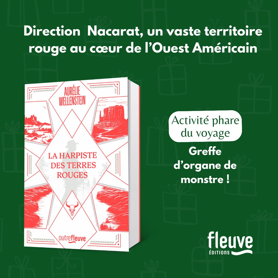 [IDÉE CADEAU DE NOËL] 🎁 Vous avez encore le temps de courir en librairie pour acheter le dernier roman d'Aurélie Wellenstein 👉 "La Harpiste des terres rouges" 📕➡️ urlr.me/KubB7V