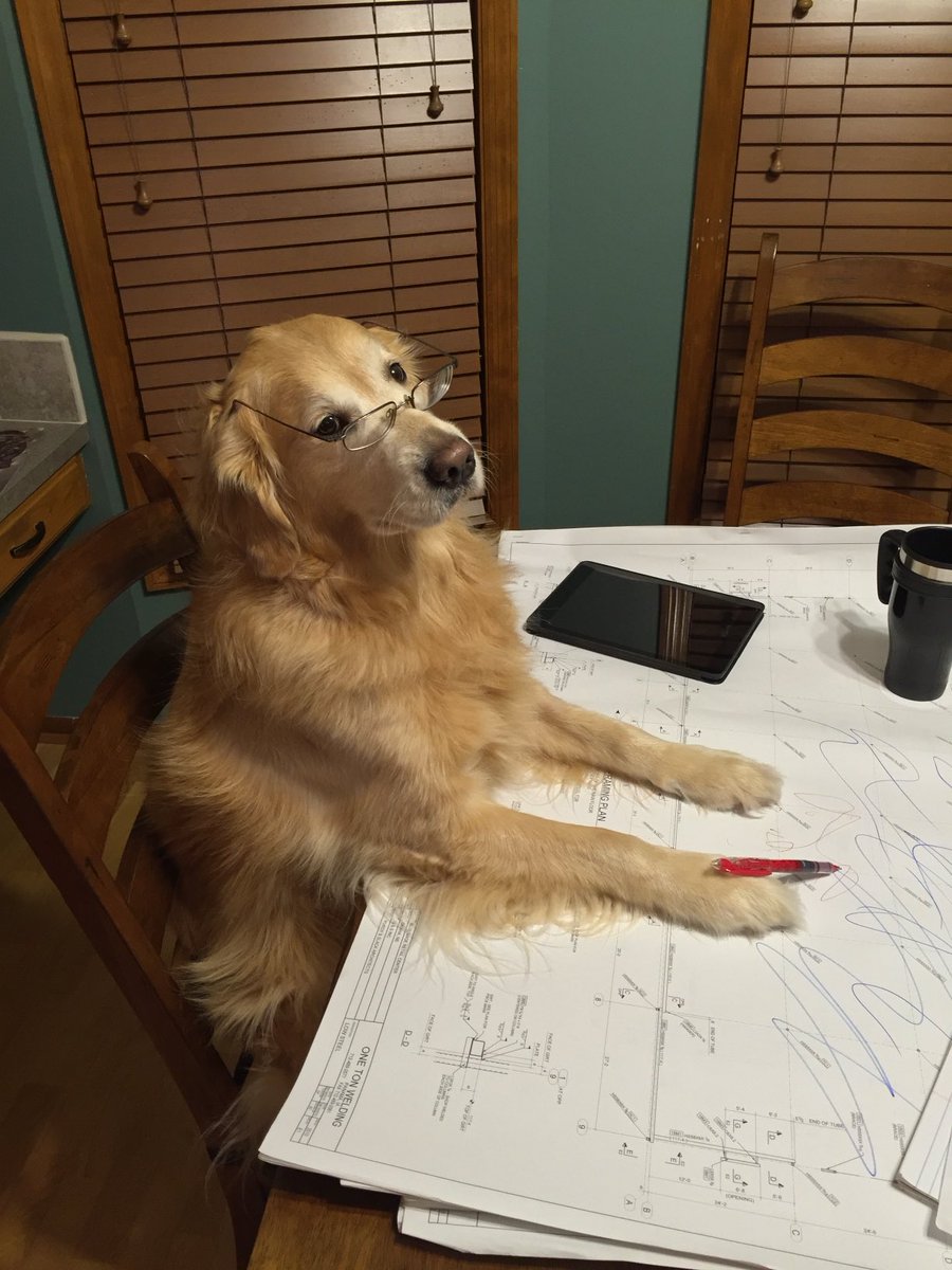 I’ve been deeply examining the markets over the last week and it turns out that I can’t read, nor interpret tables of data. My doctors tell me it’s because I’m a dog. $bailey