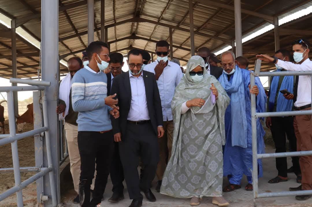 minetousidiie's tweet photo. وزير التنمية الحيوانيّة يؤدي زيارة تفقد للمزرعة النموذجية في تمبدغه و ذ عمل مشكور https://t.co/hbBvexSu84