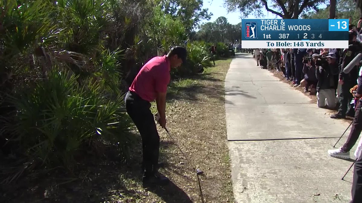 PGATOUR's tweet image. Team Woods made birdie from here 👀