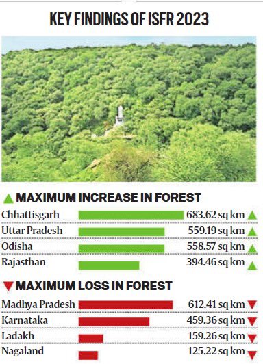 Mustafa Haji tweet media