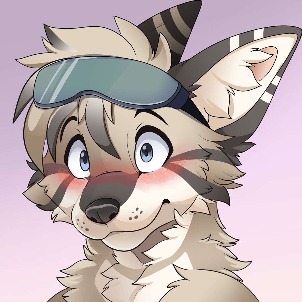 Feve 🔜 Anthrocon tweet media