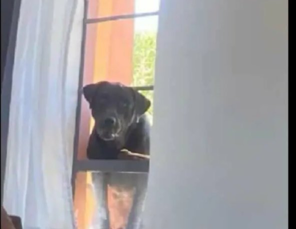 Kuna tents mahali....changamka msee