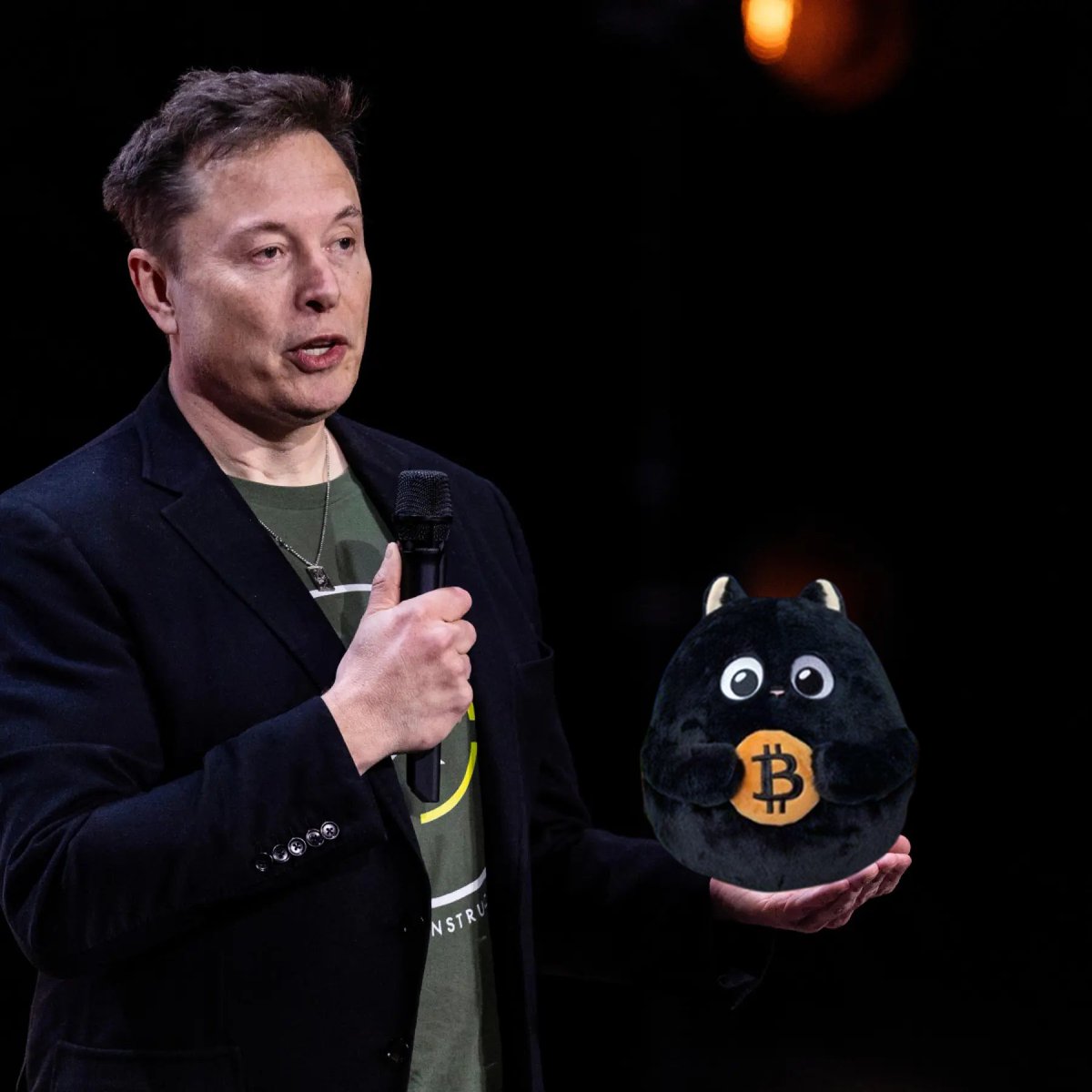 This is $BITCAT, Bitcoin's Mascot.