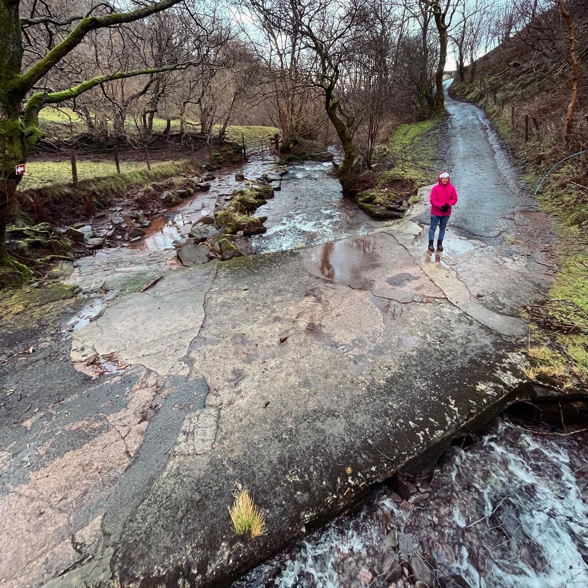 Popbangcolour's tweet photo. Went for a windy & wet walk up a hill with Tas, saw sheep 🐑.
I do like an old skool red telephone box. ☎️
#festivewalk https://t.co/HCNAdpRBj9