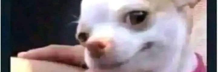 Leo ndo nimeshuhudia wanaume wanaongea video call🫠