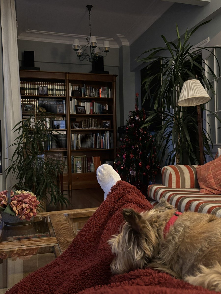 Tomándome en serio eso de descansar en vacaciones