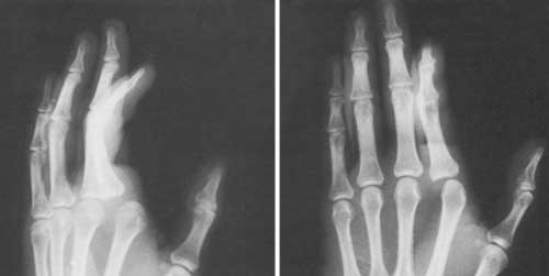 Diana | Jurídico Leona Solari da Silva tweet media