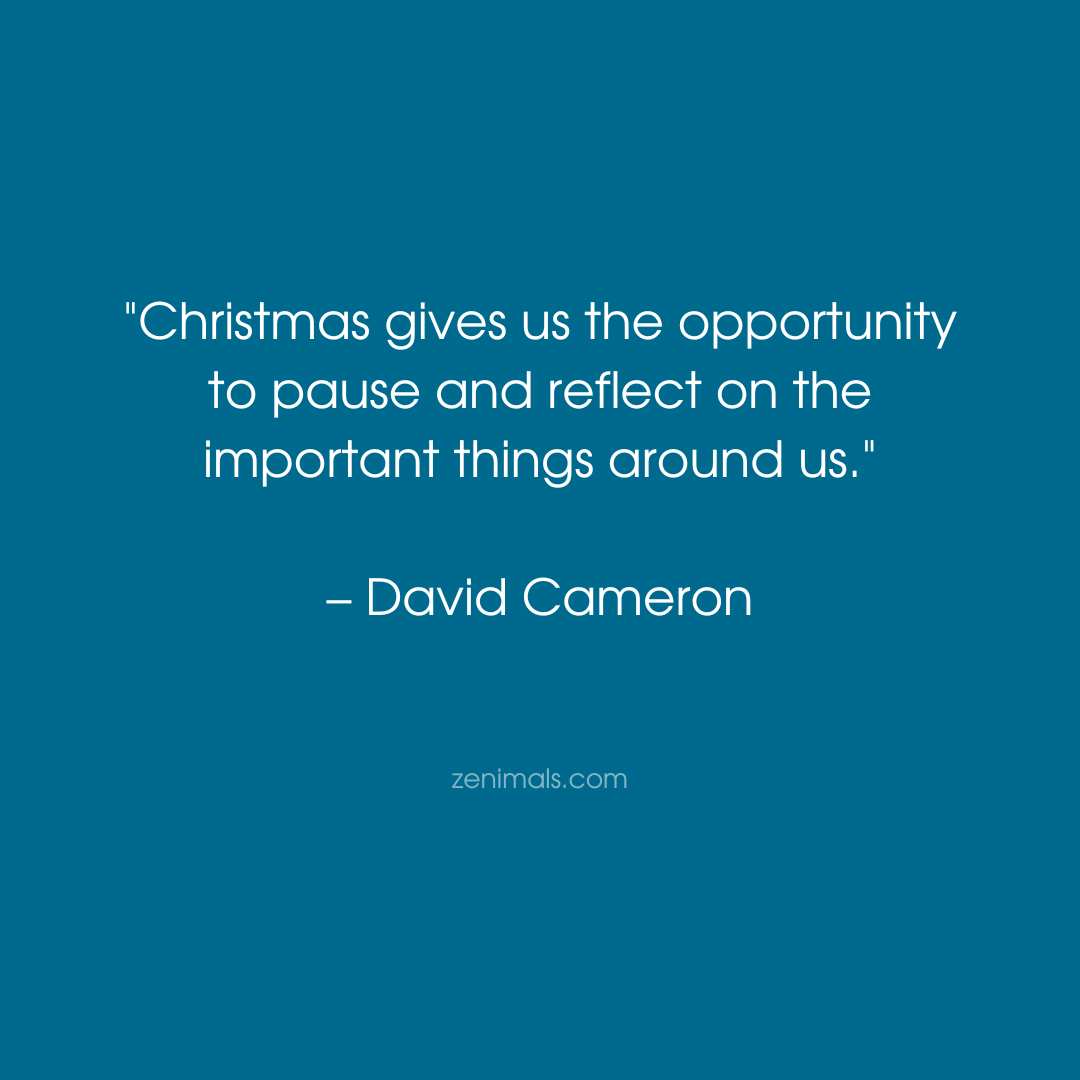 TheZenimal's tweet image. A heartfelt reminder to embrace the slower moments this holiday season, treasure time with loved ones, and find gratitude in the little things that matter most. 🎄✨

#pauseandreflect #mindfulpause #mindfulmoments #bepresent #mindfulreflection #mindfulness #gratitude