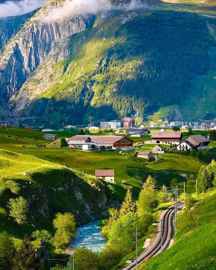 Swiss Nature (@natureswiss) on Twitter photo 