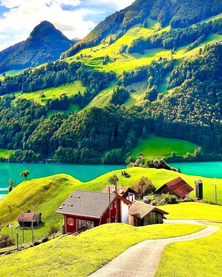 Swiss Nature (@natureswiss) on Twitter photo 