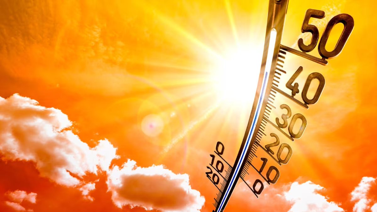 Sepulinares's tweet photo. 🥵 Ts máximas 22.12.24

38,9° Marchigüe 🏆 *Por confirmar
38,6° Lo Narváez 
37,7° Cauquenes
37,1° Llay-Llay
36,9° Peralillo
36,7° Doñihue 
36,5° Lolol
36,2° Los Andes
36,1° Panimávida 

35,8° San Felipe
34,5° Rancagua
34,9° Talca
34,8° Chillán
33,3° Los Ángeles

25,1° Concepción https://t.co/BRyycvUYRV