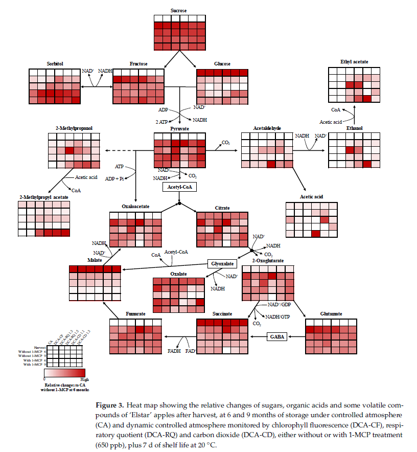 Nacherntephysi1's tweet image. 👏 Grateful for our amazing co-authors:
@Felix Büchele, @Lilian Osmari Uhlmann, @Adriana Lugaresi, @Daiane Quadros de Oliveira Neuwald, @Auri Brackmann, @Vanderlei Both and @Roger Wagner
#ScientificResearch #Horticulture #AppleScience #PostHarvest #FruitQuality #Collaboration