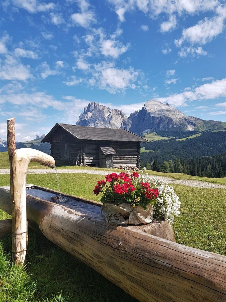 Swiss Nature (@natureswiss) on Twitter photo 