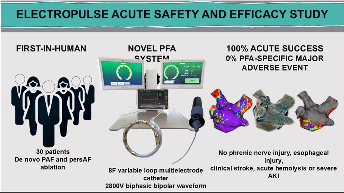 Our article on a novel Pulsed Field Ablation system. Promising initial results! authors.elsevier.com/c/1kB7w5VtUyWY… 
#EPeeps