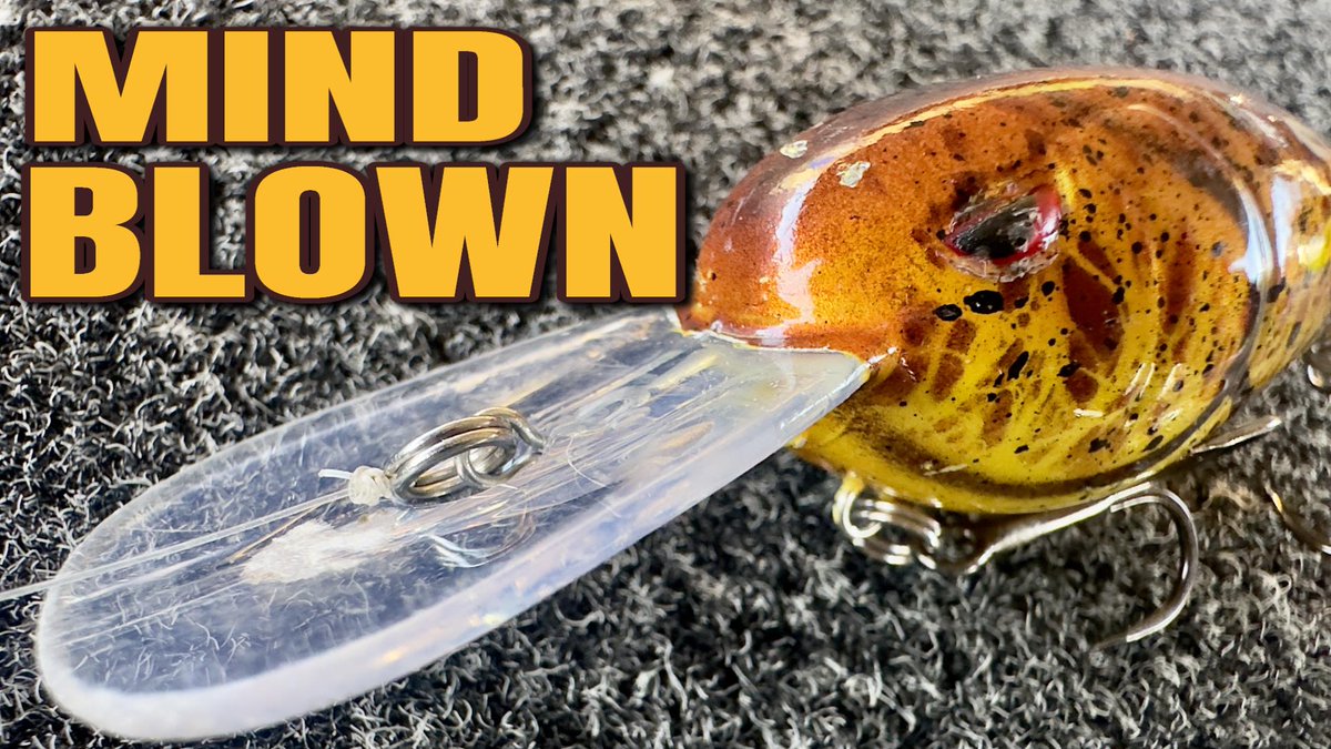 BassGeekFishing's tweet photo. Crank'em Up All Winter Doing This!
https://t.co/9dsMg6nxwU
#bassgeek #fishing #crankbait #crankbaitfishing #winterfishing #winterbassfishing #winter #winterbaits #smallmouthbass #largemouthbass #fishingtips #bassfishingtips #bassfishinglures #bassfishing #usa https://t.co/Zf7YOxXyB7