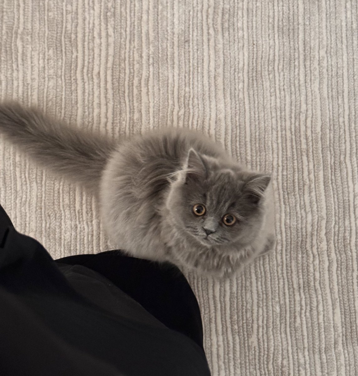 giyinip işe giderken böyle bakışlar attığı için ev hanımı olmaya karar vericem çok az kaldı