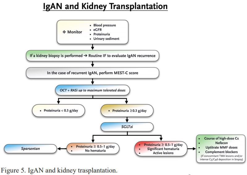 Management strategies for IgAN based on clinical presentations:

▫️Classic IgAN +/- proteinuria
▫️IgAN w/macrohematuria
▫️Pure nephrotic syndrome
▫️Rapidly progressive/Crescentic IgAN
▫️IgAN w/malignant HTN/TMA
▫️IgAN w/pregnancy
▫️Post transplant IgAN
🔗 doi.org/10.1093/ndt/gf…