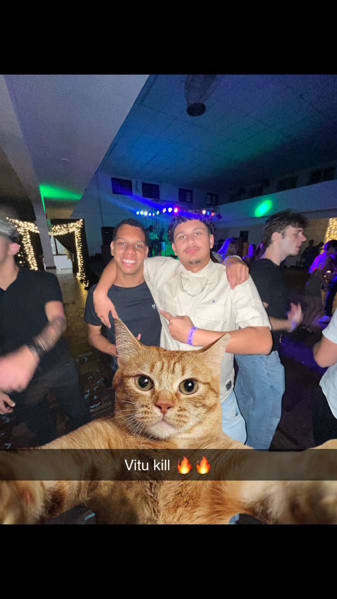 Greg pingola tweet media